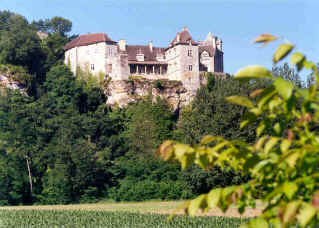 Chateau de cenevieres